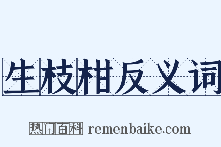 生枝柑反义词是什么意思的图片